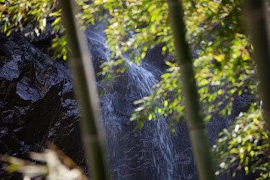 《艾尔登法环：黑夜君临》最新更新上线 多项调整