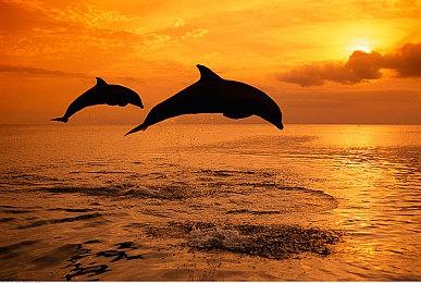 新英雄！新系统！《噗噗的冒险乐园》0.9版本更新！