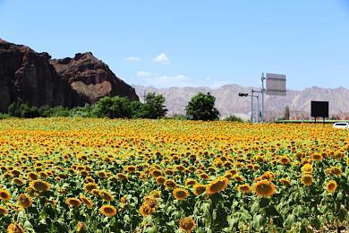 CDPR总监：扭转《赛博朋克2077》口碑是公司最大成就