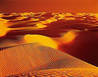 《暗黑破坏神4》PC版将于3＆26添加光线追踪支持